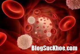 Tìm hiểu về bệnh ung thư máu