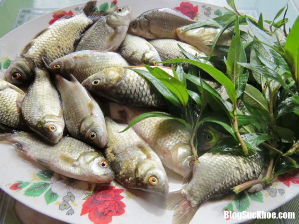 Tăng cường sinh lực bằng 5 món cá dễ làm trong bữa ăn hàng ngày này