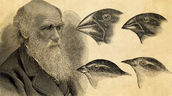 Lý do Ấn Độ loại bỏ Thuyết tiến hóa Darwin ra khỏi sách giáo khoa